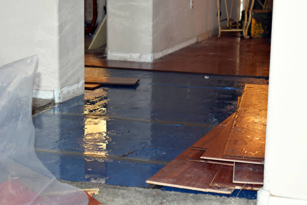 Professional Water Damage technician working in Hingham, MA