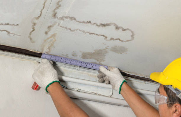 Reliable Water Damage contractor in Hingham, MA by Water Damage Irwin